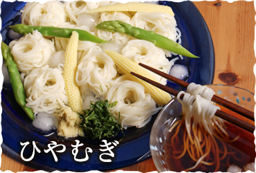 島田うどんイメージ