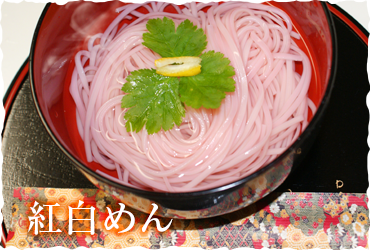 島田うどんイメージ