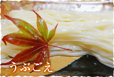 島田うどんイメージ